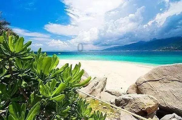 “要采取更加有力有效措施”，高层定调利好可期，A股港股双双反弹